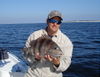 Sheepshead001.jpg