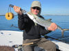 TonyMerlisSBflySpanish_mackerel.jpg