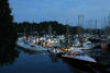 Ucluelet_Harbour.jpg