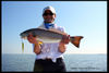 cc-new-smyrna-outfitter-flats-fishing-charters-05-12.JPG