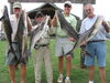 cobia-trip_014.jpg