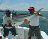 costa_rica_roosterfish_b_3_5_13.jpg