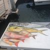 dockshot11.jpg