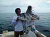 guanacastefishing13.jpg