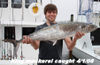 king_mackerel_4_1_08.jpg