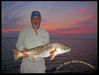 mosquito-lagoon-redfish-8-14-11.JPG