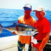 offshore19.jpg