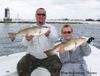 redfish312008.jpg