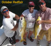 redfish_in_October_10_14_09.jpg