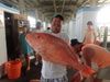 sams_big_snapper.jpg