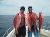 snapper11.jpg