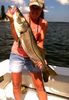 snook_003a.jpg