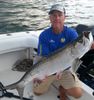 tarpon12.jpg