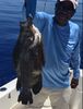 tripletail1.JPG