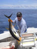 yellowfin-tuna-015_small.JPG