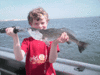 -1-08-6.gif