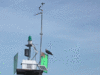 01-05-08.gif