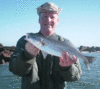 01-06-08-2.gif