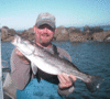 01-06-08-5.gif