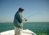 017_640x468_.jpg