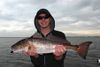 021513redfish2.jpg