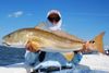 022813redfish.jpg