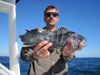 030110_seabass1.JPG