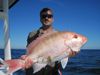 030110_snapper1.JPG