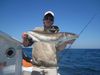 040110_Cobia.JPG