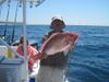 040110_Red_Sanpper1.JPG
