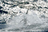 05-1361222610_lrg1.jpg