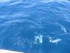 050311_AJs_at_the_boat.JPG