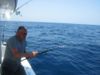 050311_Snaper_on_the_line.JPG