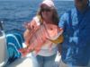 050311_Snapper_4.JPG