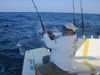 061311_Mahi_on.JPG