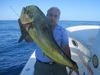 070311_Mahi2.JPG