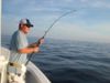 080411_Wahoo_On.JPG