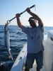 081611_cuda_3.JPG