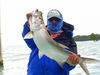 09_Tarpon.JPG