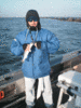 1-12-2.gif