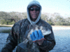 1-17-4.gif