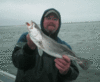 1-18-21.gif