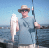 10-16-2.gif