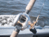 10-16-6.gif
