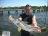 10-19-09_fish_001.JPG