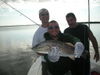 10-19-09_fish_004.JPG
