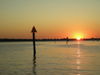 10-19-09_fish_015.JPG
