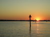 10-19-09_fish_016.JPG