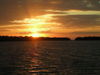 10-19-09_fish_020.JPG