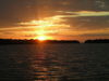 10-19-09_fish_022.JPG